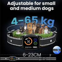 Electric anti-bark collar with dual vibration motor